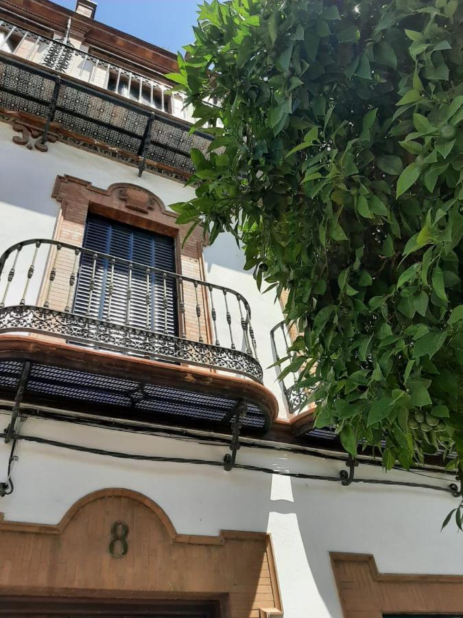 'Suite Magallanes' Apartamento Cool En El Verdadero Centro De Sevilla Екстер'єр фото